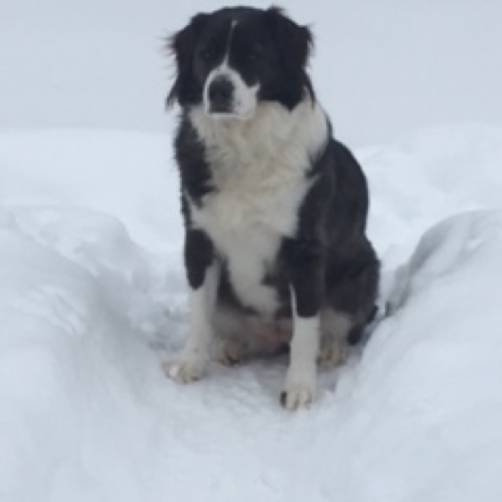 Meet your Posher, Mel